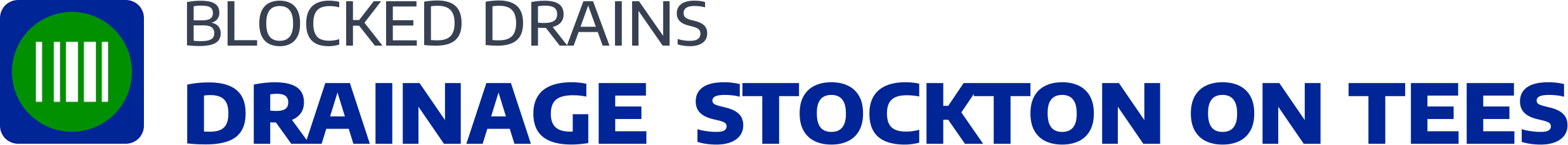 website logo